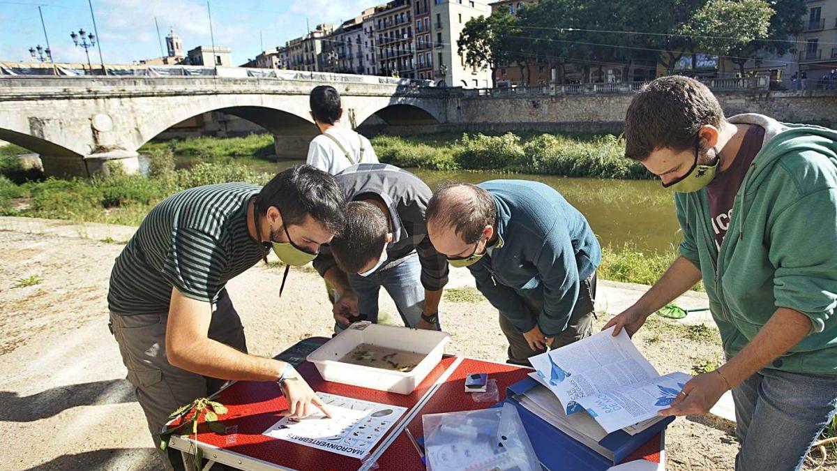 Els naturalistes de Girona fan40 anys de lluita ecologista