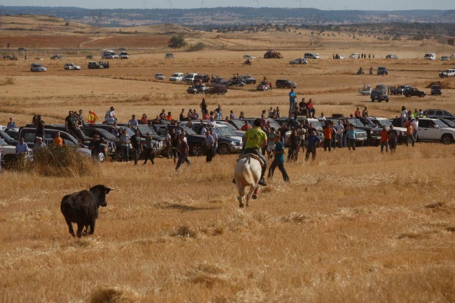 Fiestas en Zamora: Espante en Pereruela