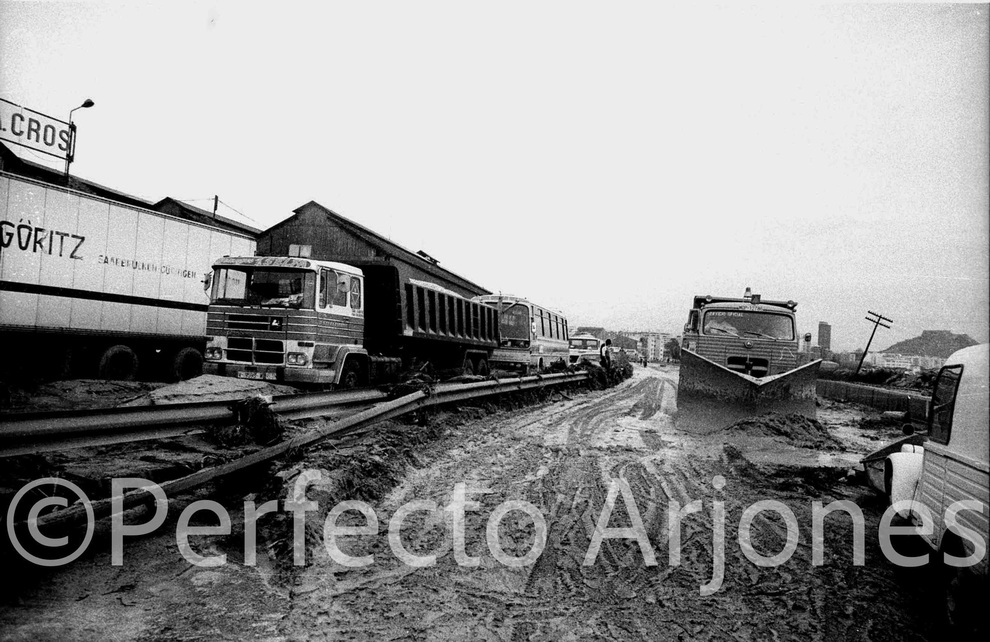 Riada de 1982: El día que Alicante se partió en dos