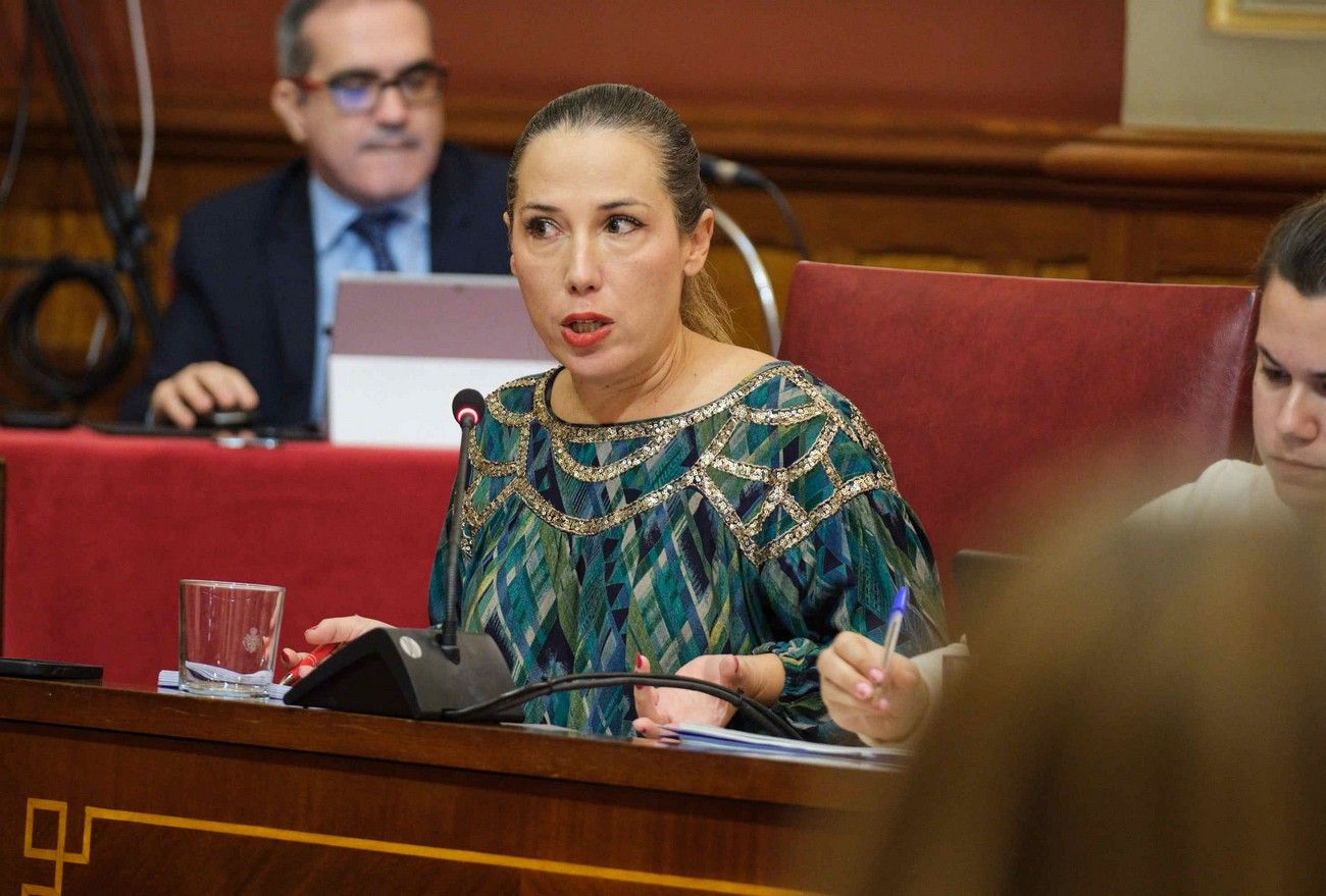 Pleno del Ayuntamiento de Santa Cruz de Tenerife (26 de enero de 2024)