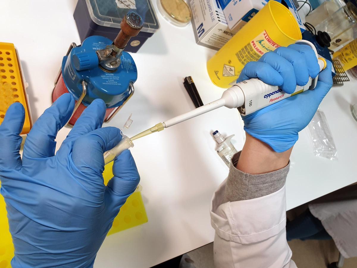 Un laboratorio del Chuvi.