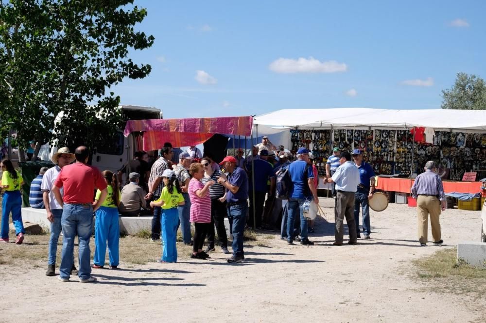 Romería del Cristo del Pino en Fermoselle