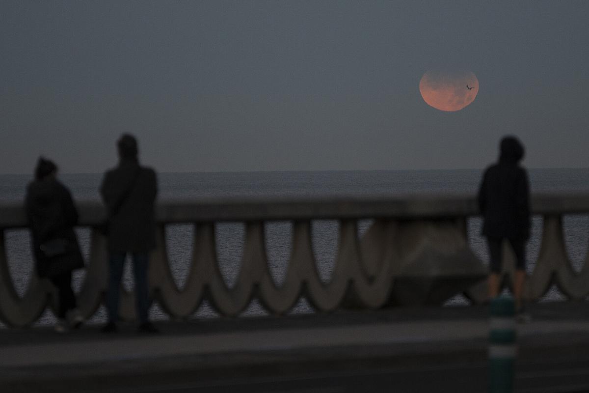 A Coruña Eclipse de luna 19/11/2021 Foto: M. Dylan / Europa Press