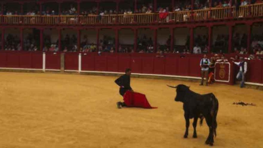 Toros contra el cáncer