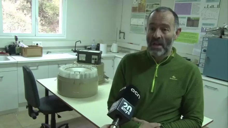 Vídeo | Per què la temporada de bolets ha estat tan dolenta?