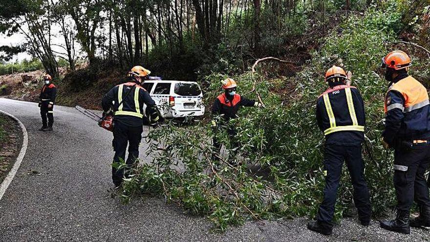 Protección Civil de Poio retira un árbol que cayó a la carretera.
