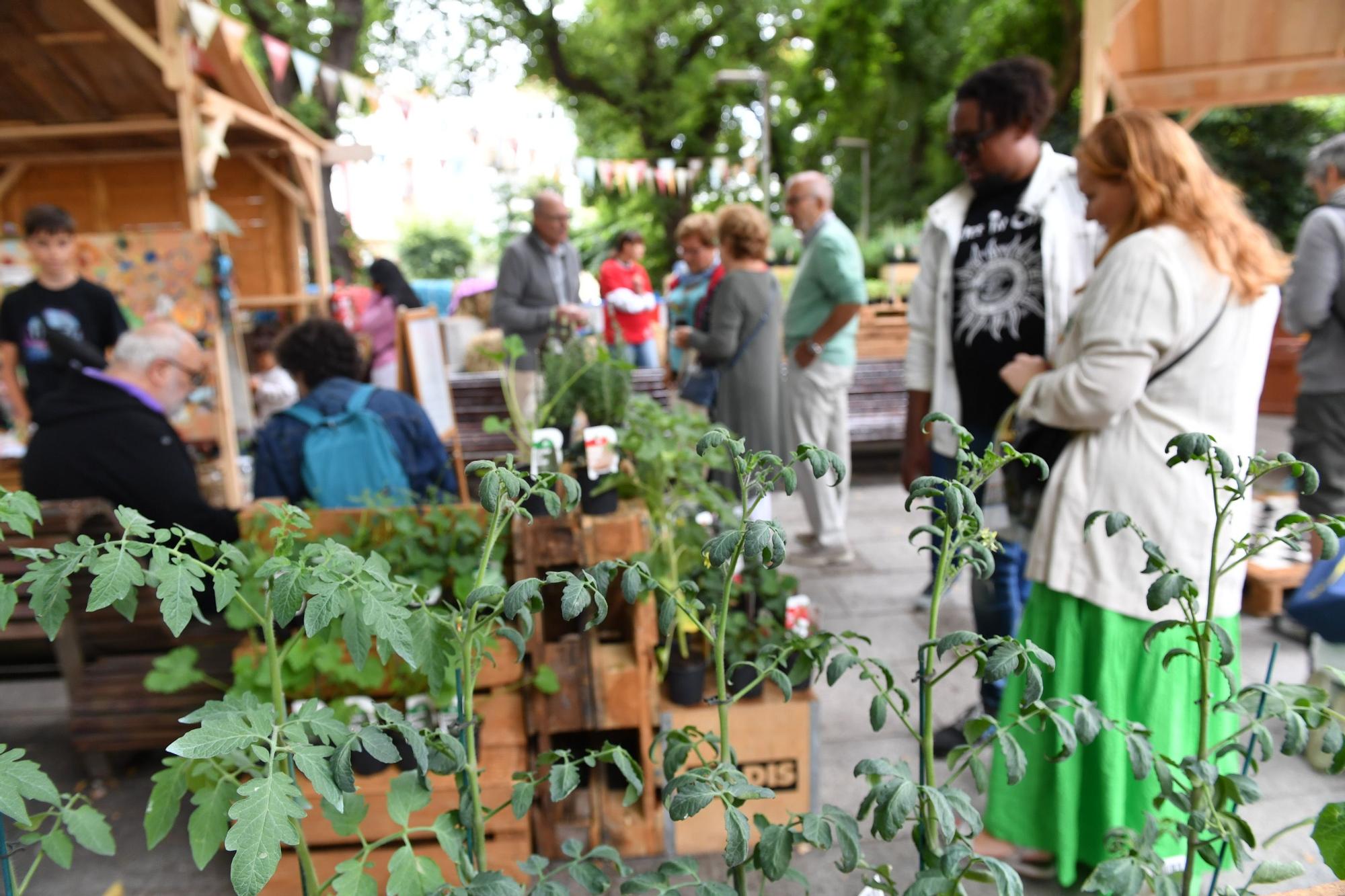 Mercado de la cosecha en el campo da Leña de A Coruña