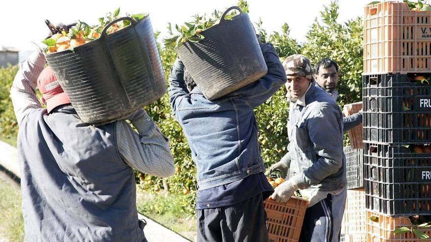 Extranjeros: Jubilación dorada o trabajo al sol