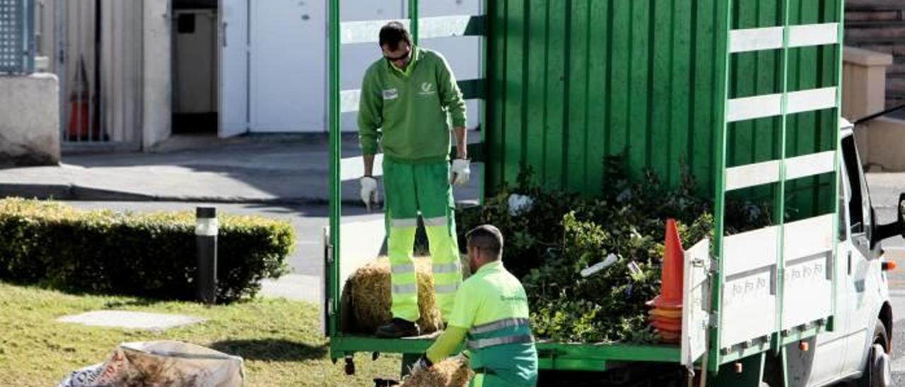 Dos operarios de La Generala en Benidorm.