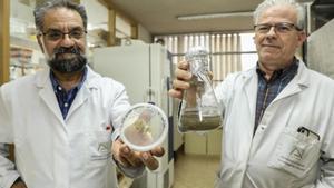 Roque Bru (a la derecha) y Antonio Samper (izquierda) enseñan algunas de las muestras con las que trabajan en el laboratorio.