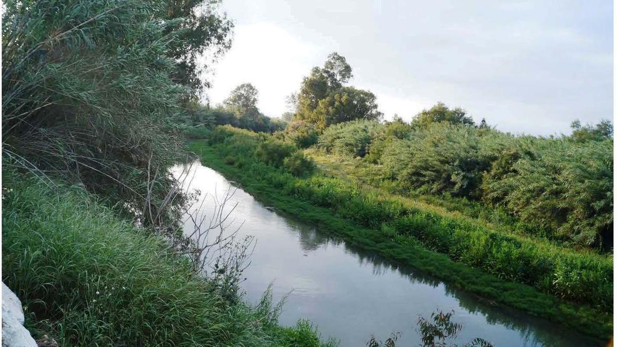 Cauce del río Guadalhorce por Alhaurin.