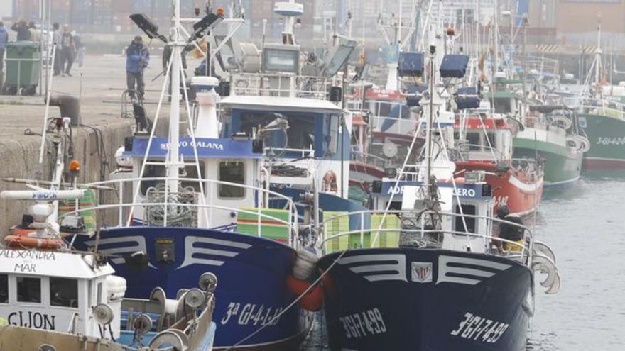 Barcos pesqueros, amarrados ayer en el puerto de Gijón. | Marcos León