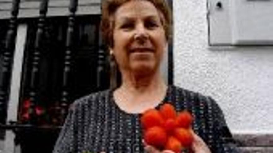 UNA MATA PRODUCE TOMATES CON FORMA DE FLOR