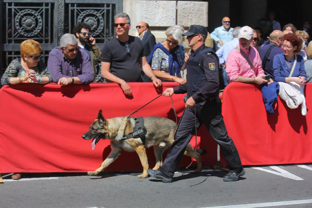 Procesión Cívica