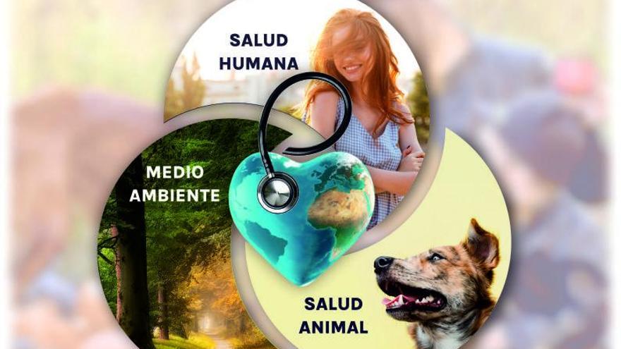 Salud humana, animal y el medio ambiente