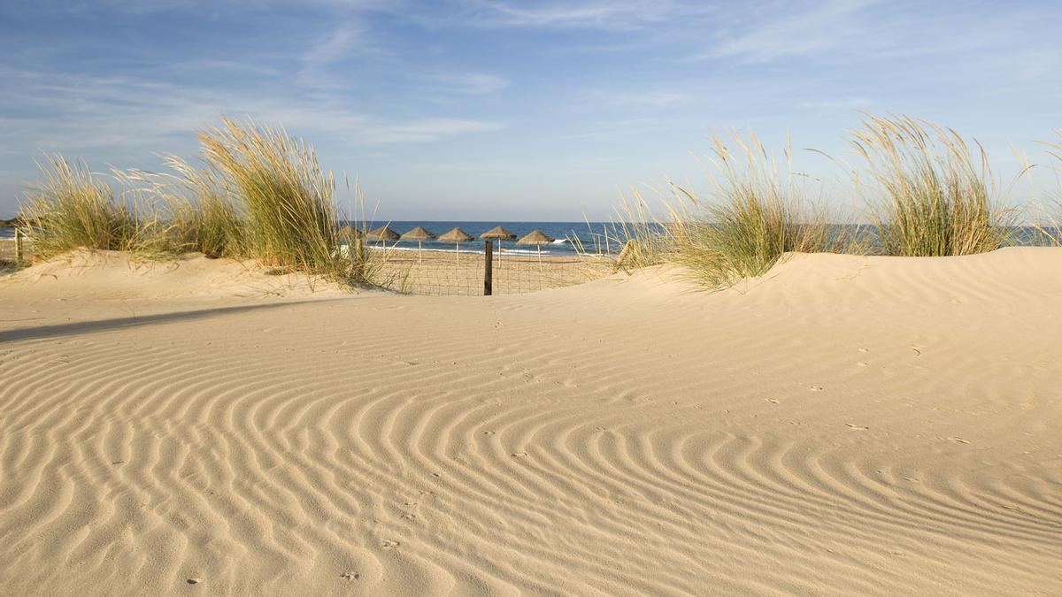 GUARDAMAR DEL SEGURA. Belleza paisajística de dunas y pinos.