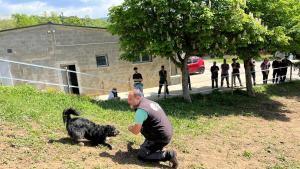 Un dels participants en el curs densinistrament de gossos tofonaires