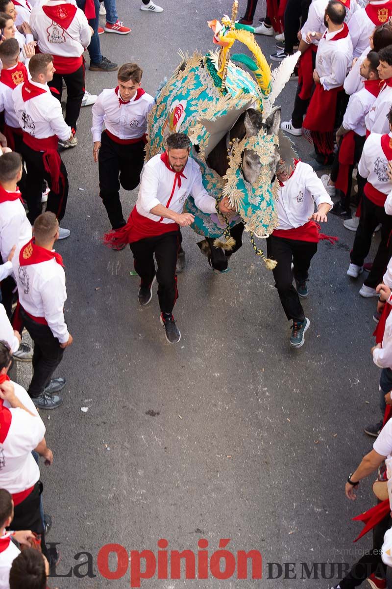 Caballos del Vino en la cuesta de la Simona