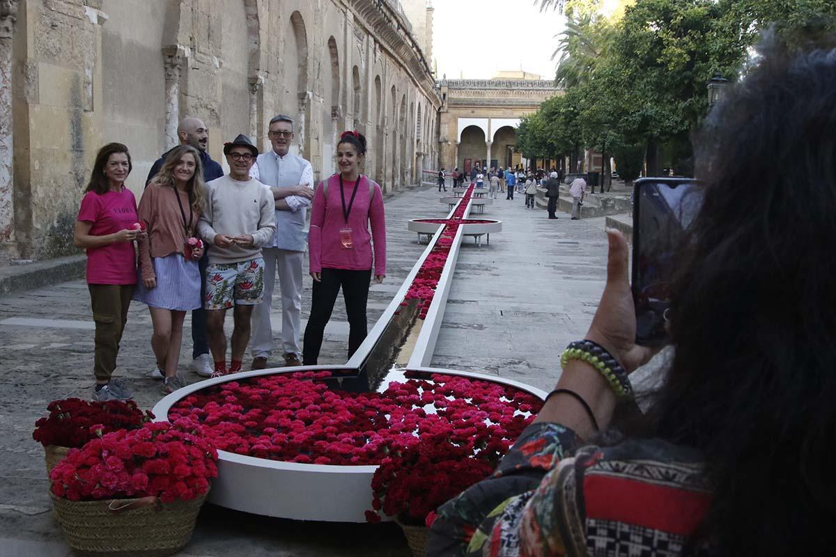 Instalación de la Mezquita Catedral