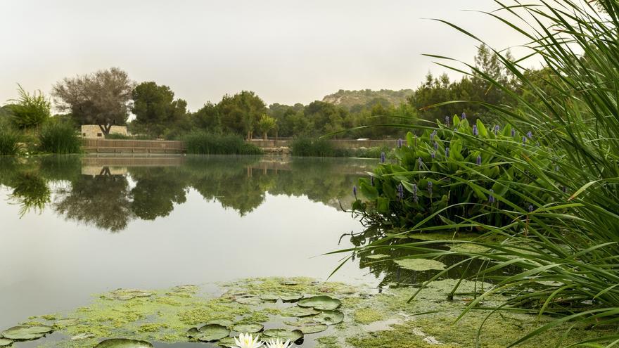 Proteger la naturaleza, reduciendo nuestro impacto en los ecosistemas