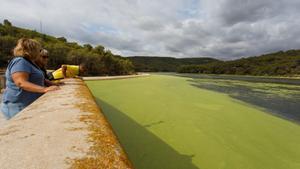 Unos senderistas observan la acumulación de algas verde chillón junto a la presa del embalse de Foix.