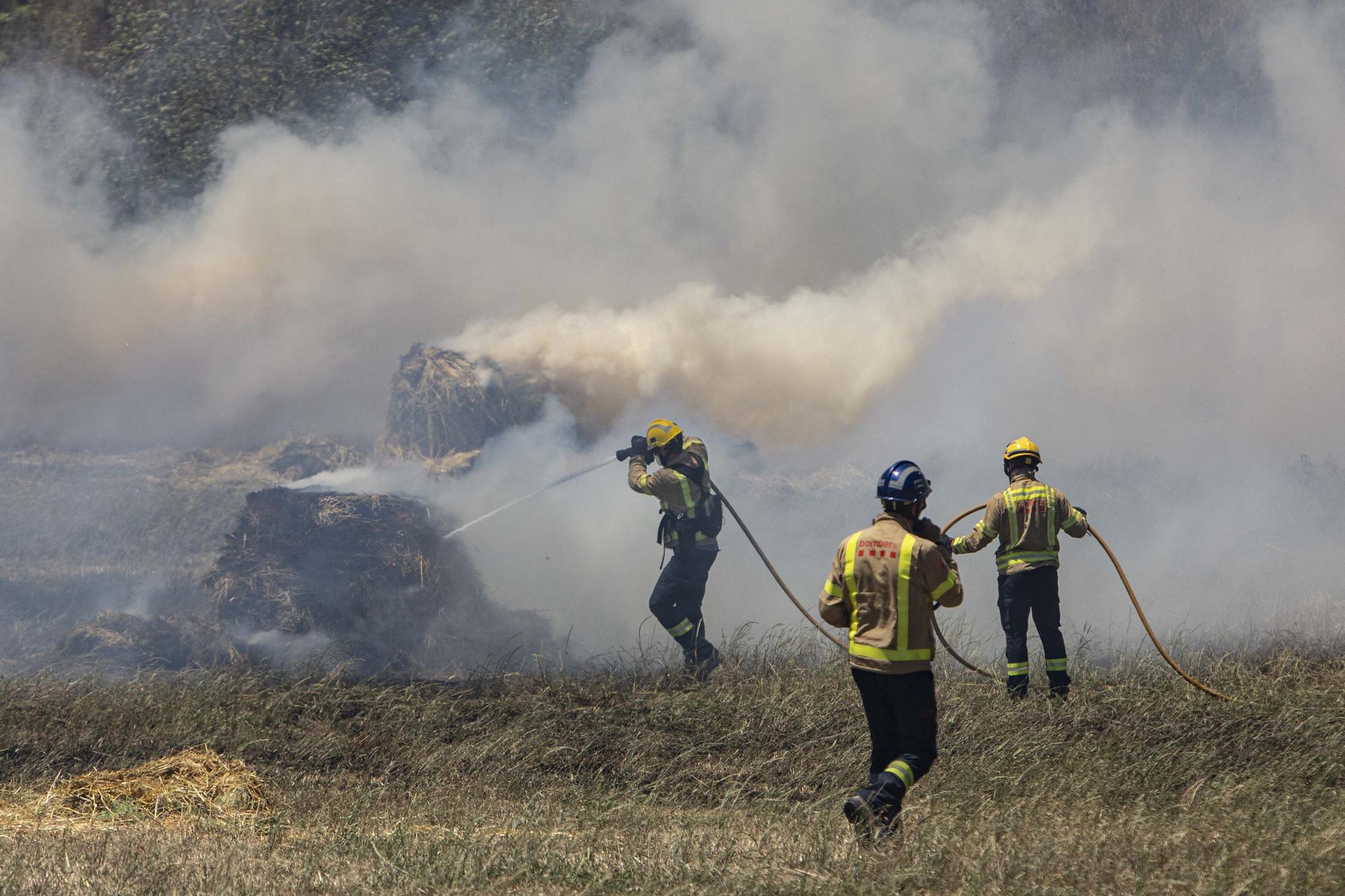 Incendi forestal a Sils, en fotos