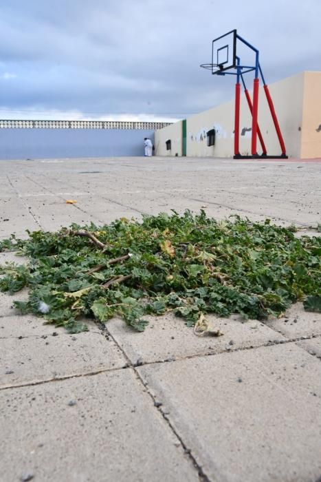 05/04/2019 TELDE.  Concentración de padres y madres por el mal estado del CEIP Principe de Asturias. Fotógrafa: YAIZA SOCORRO.  | 02/04/2019 | Fotógrafo: Yaiza Socorro