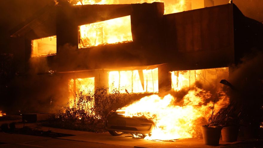 El emotivo encuentro de un perro con su dueño tras los incendios de Los Ángeles