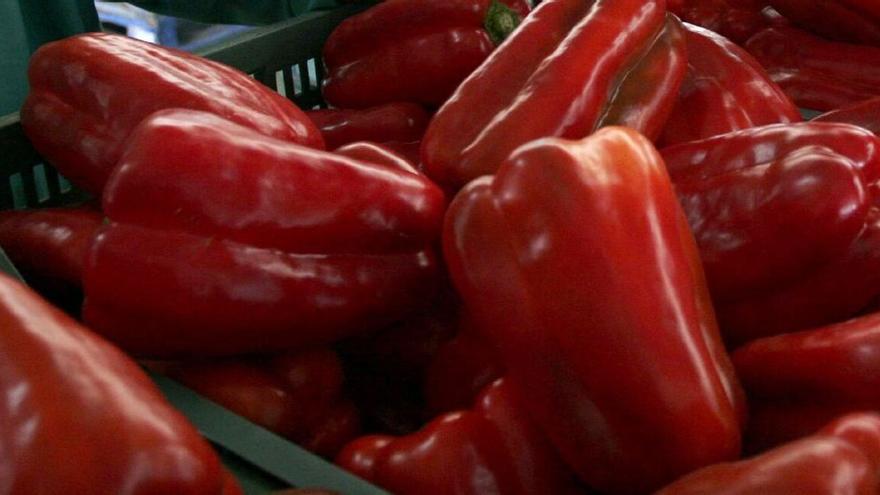 ¿Por qué sienta mal el pimiento? Estos son los casos en los que se debe evitar