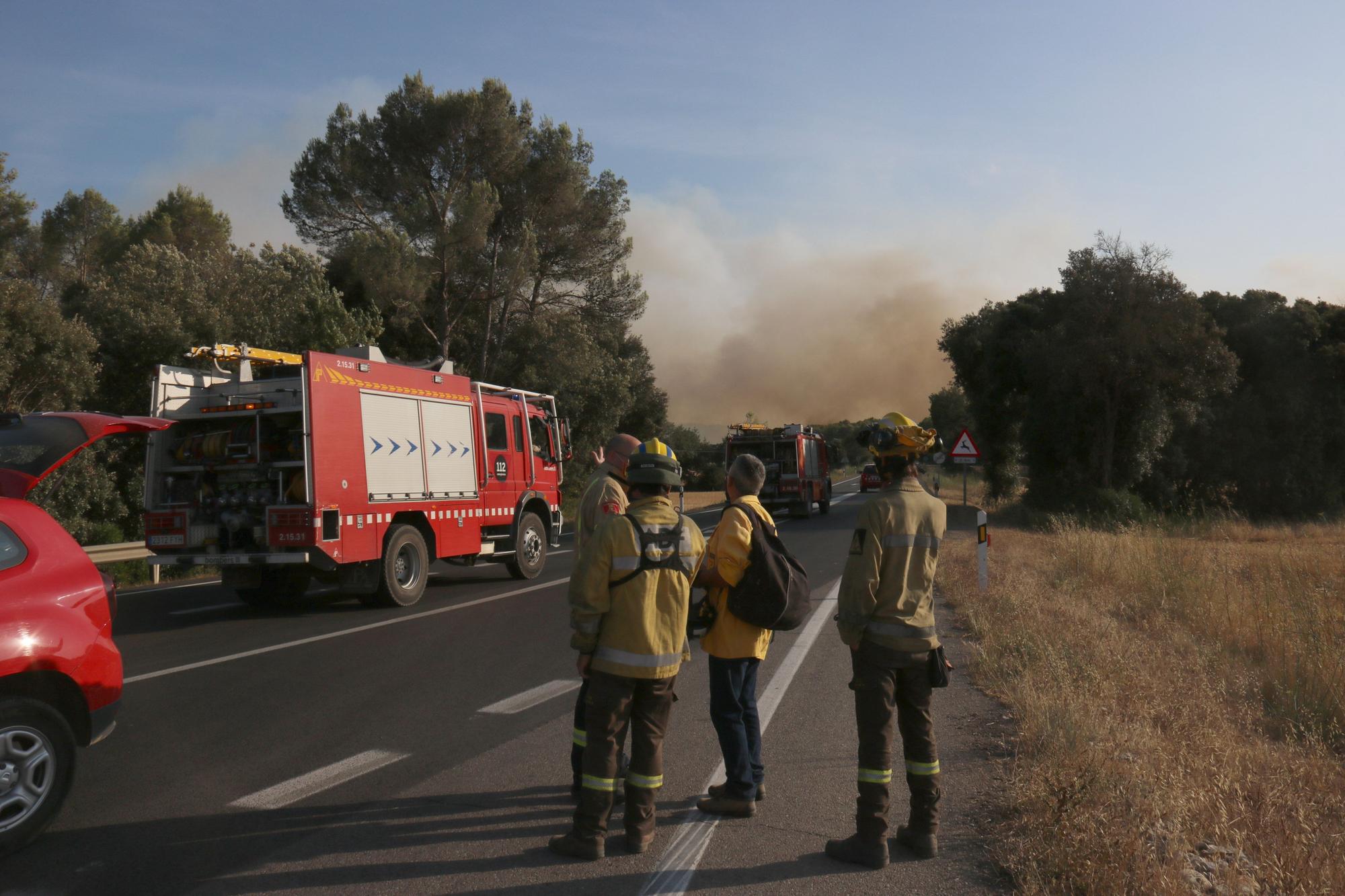 Les imatges de l'incendi de Ventalló i Vilopriu