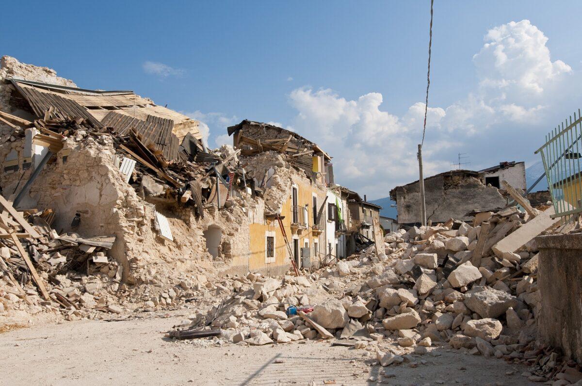 ¿Pueden los animales predecir los terremotos?