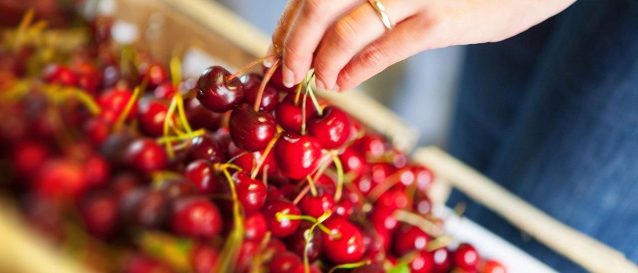 Las cerezas: el oro rojo del Valle del Jerte.