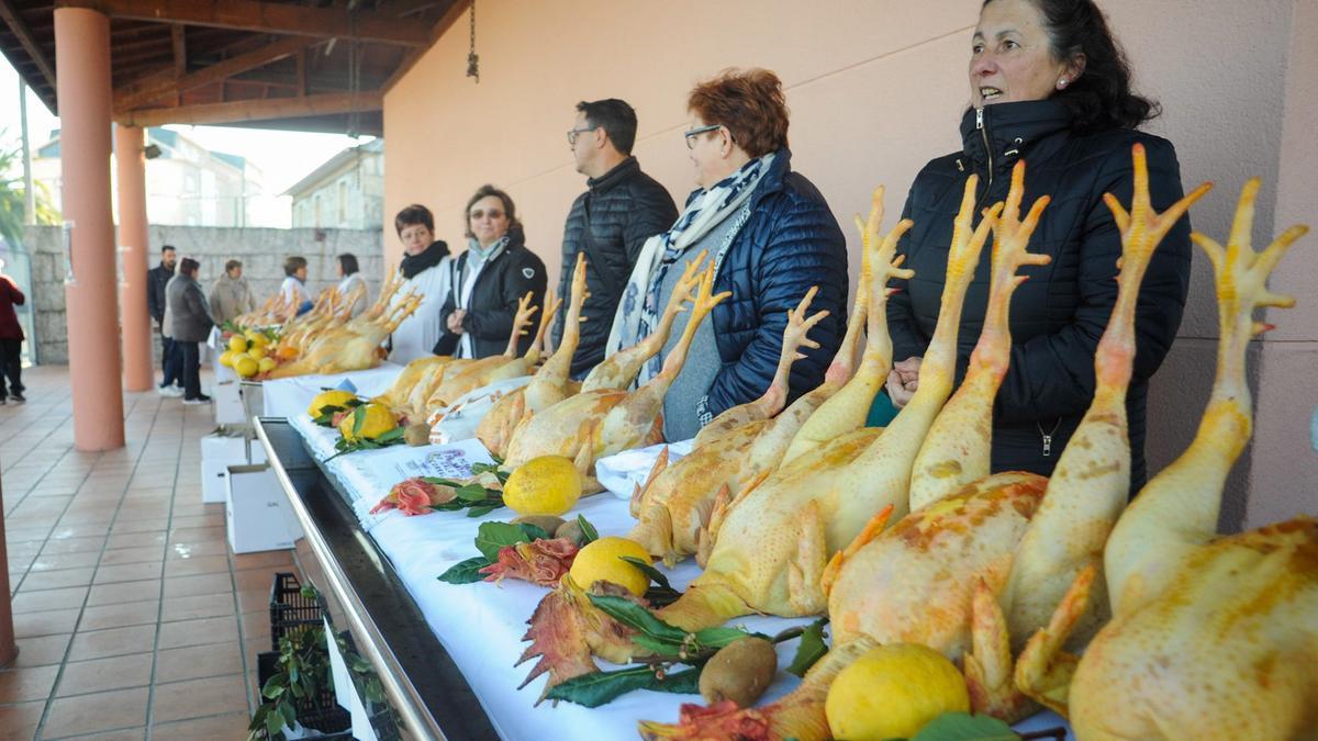 Gallos, ya sacrificados y limpios, en una edición pasada de la feria