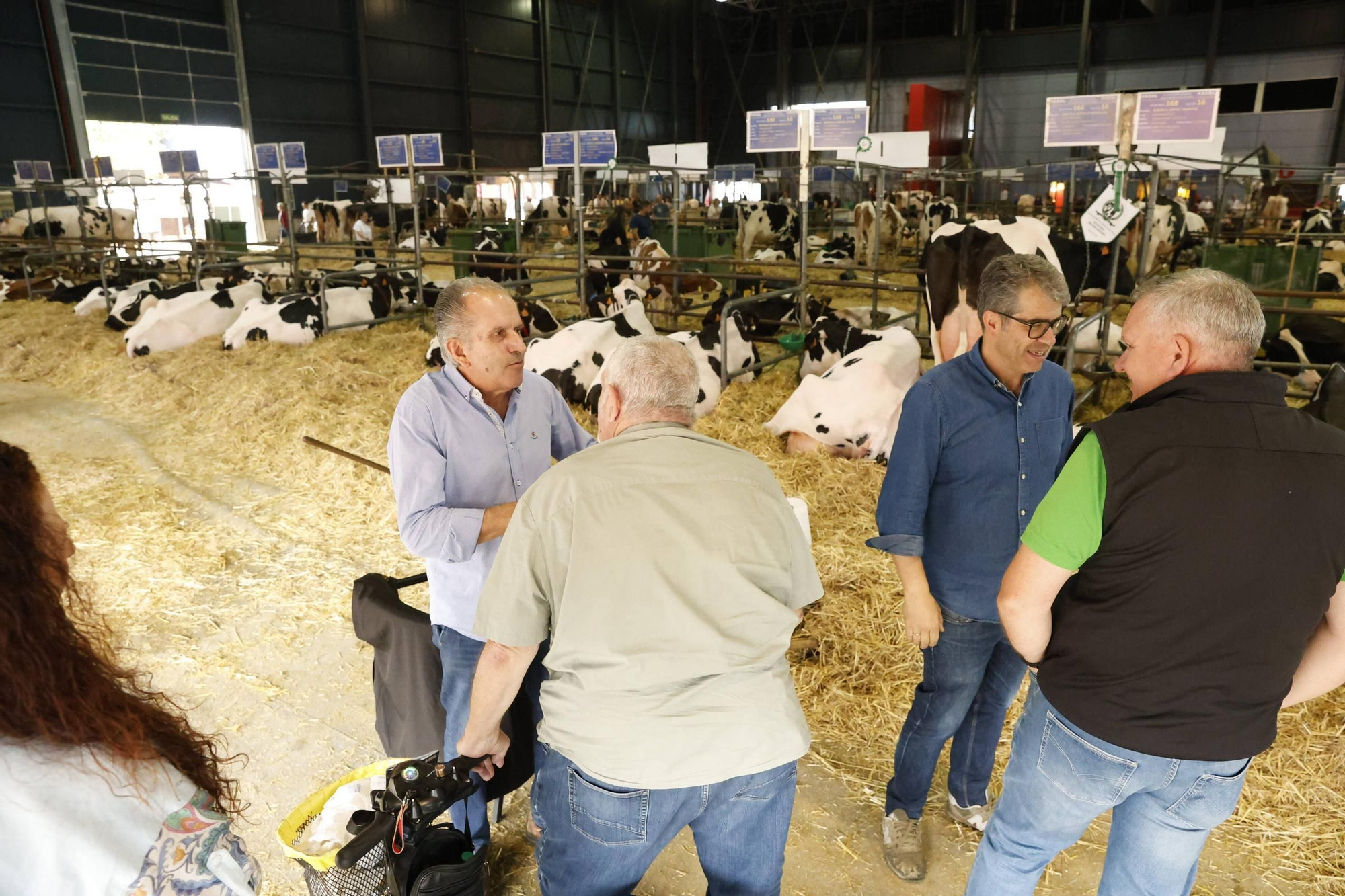 El último día de la Feria de San Antonio en Gijón, en imágenes