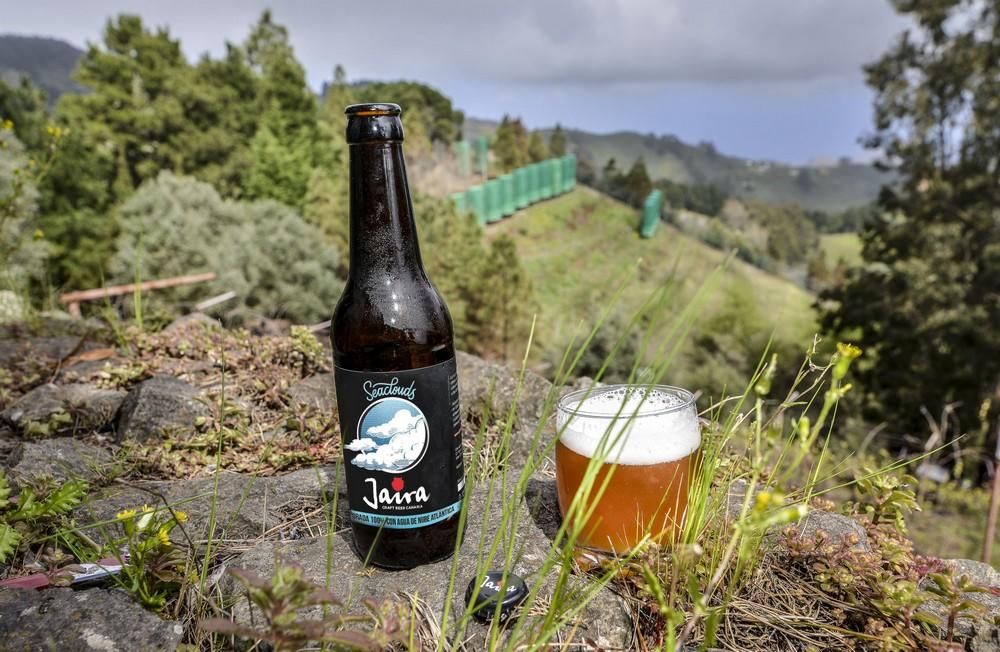 Presentación de una cerveza con agua de nube de Moya