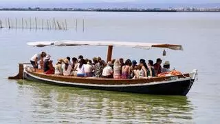 La salinización avanza en l’Albufera y  la clorofila va al alza por los vertidos