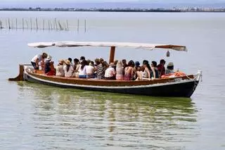 La salinización avanza en l'Albufera
