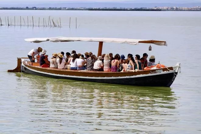 La salinización avanza en l'Albufera