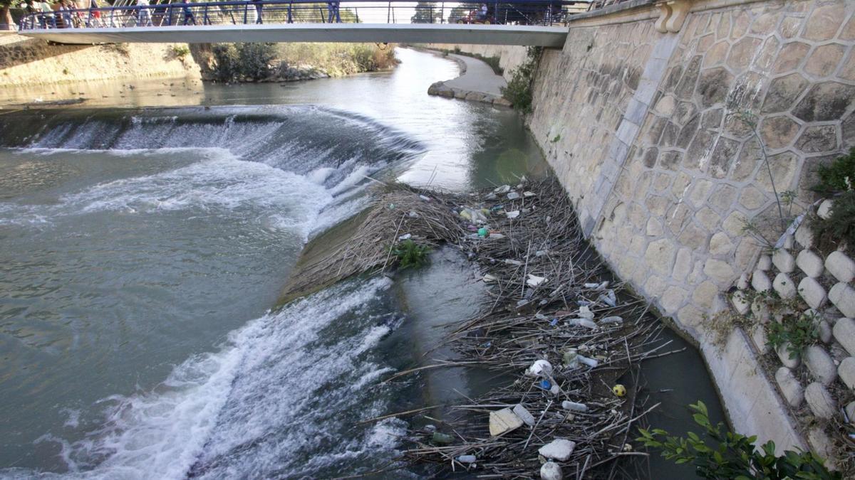 Basura acumulada en el río Segura a su paso por Murcia.