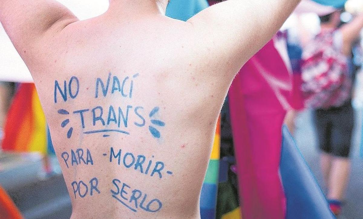 TRANS / DICCIONARIO