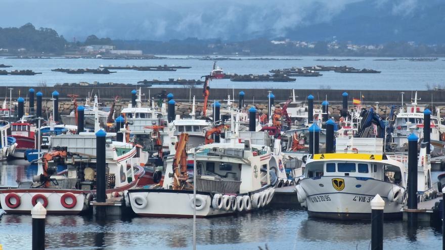 ¿Pagarías 1,3 millones de euros por una batea de mejillón?