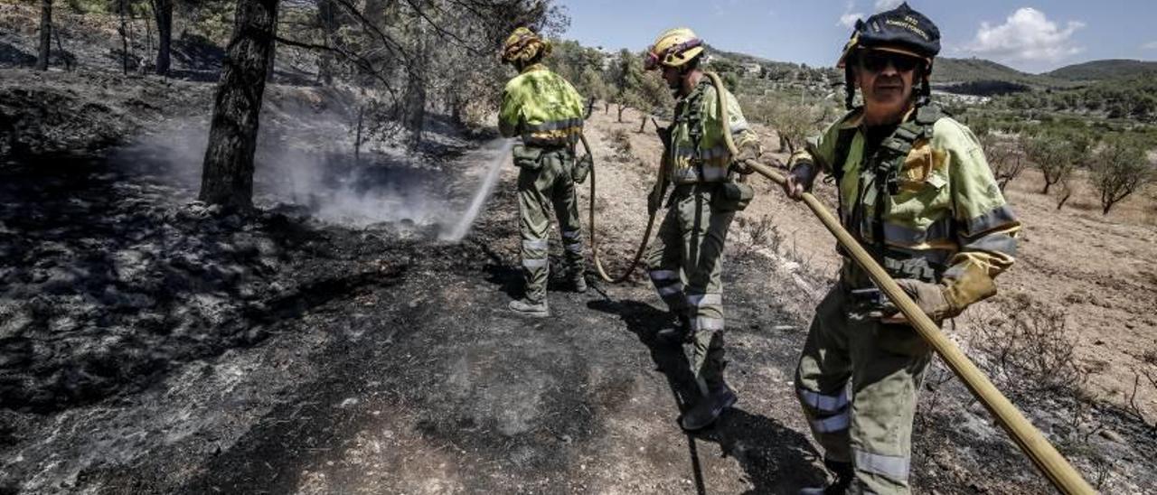 La superficie forestal quemada cae de 1.804 hectáreas a 85