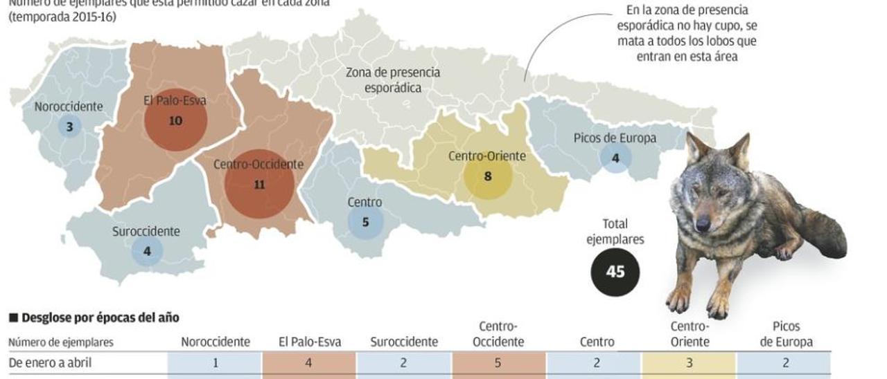 Llamada a la calma del Principado, que pide apoyo a los ganaderos para frenar al lobo