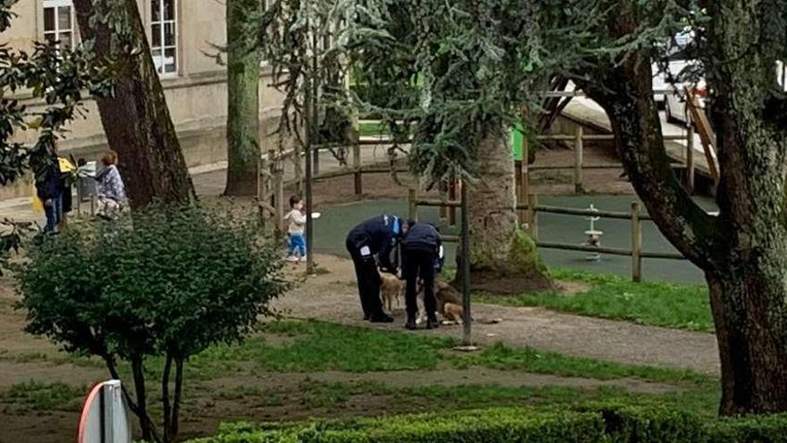 Dos policías de Ponteareas con dos perros al lado del parque infantil del Ayuntamiento. // D.P.