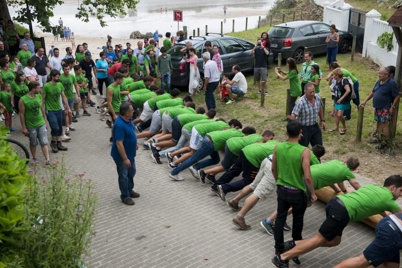 Celoriu planta su hoguera