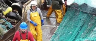 La Audiencia Nacional insta al Gobierno a evaluar una misión submarina al “Pitanxo”