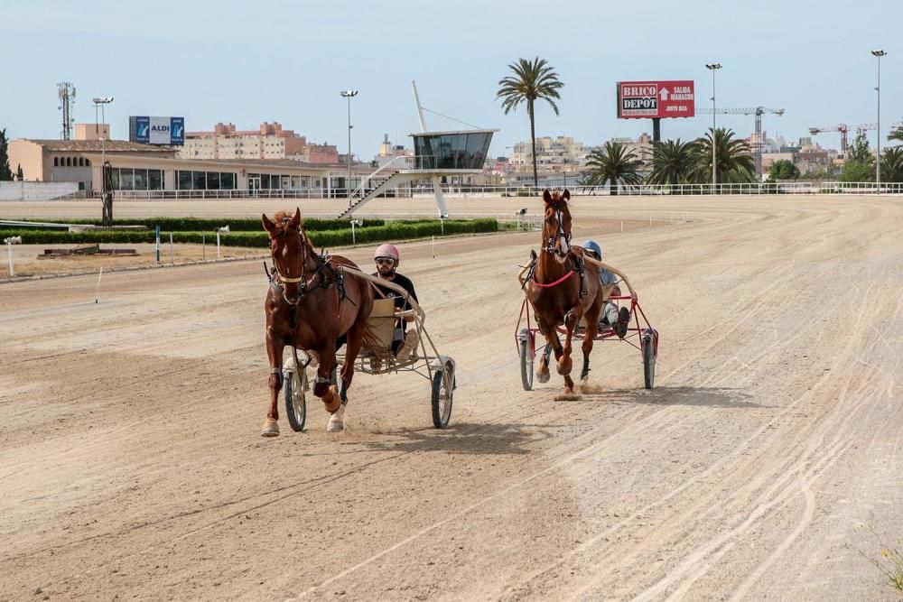 Los primeros entrenamientos se llevaron a cabo en la matinal de hoy en Son Pardo