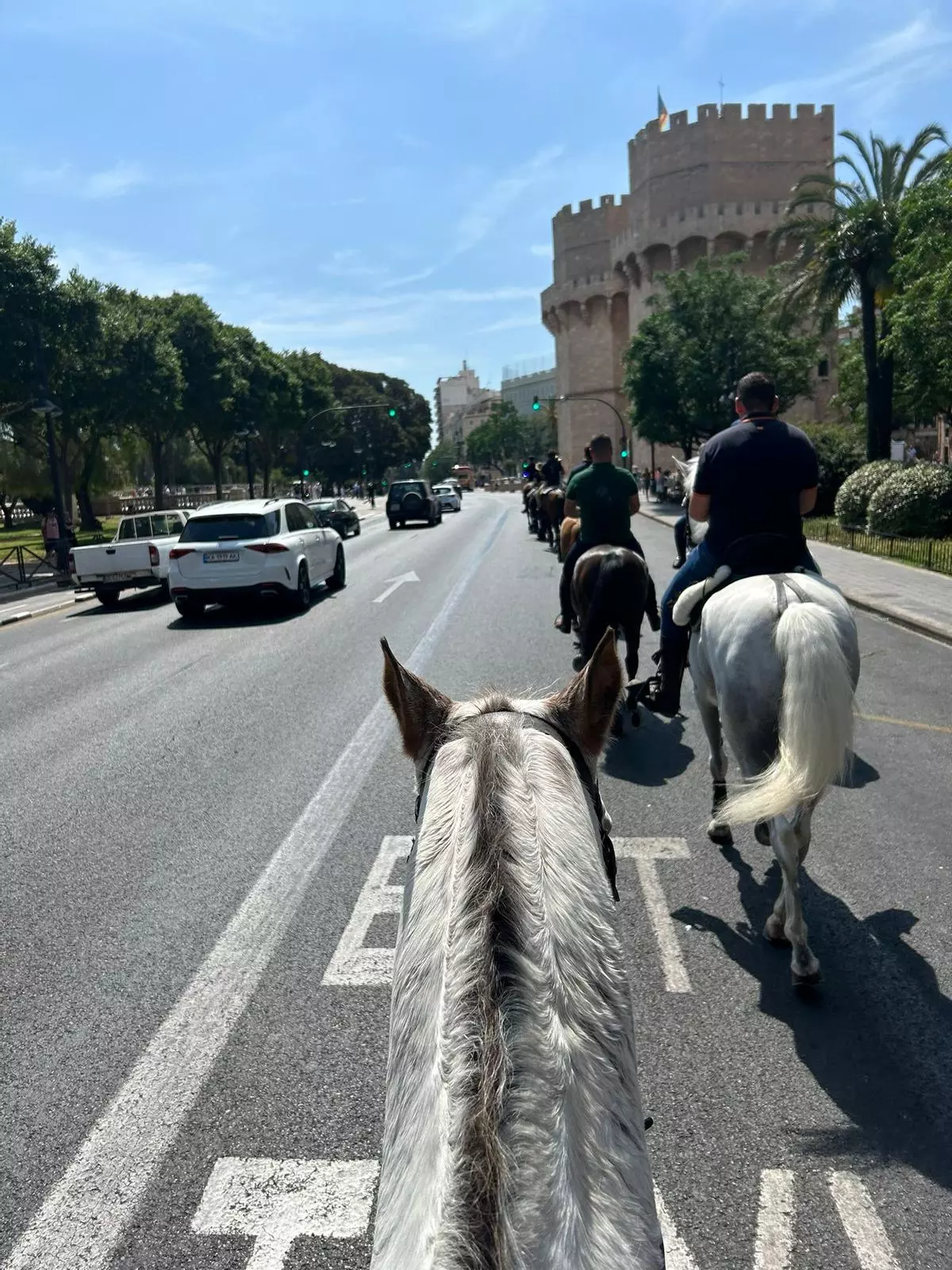 Polémica excursión a caballo por el casco antiguo de València