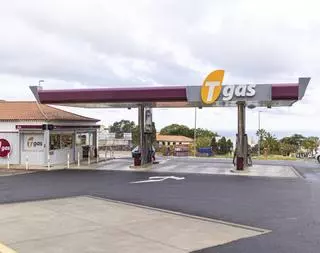 Tgas: referente en el sector con sello cien por cien canario
