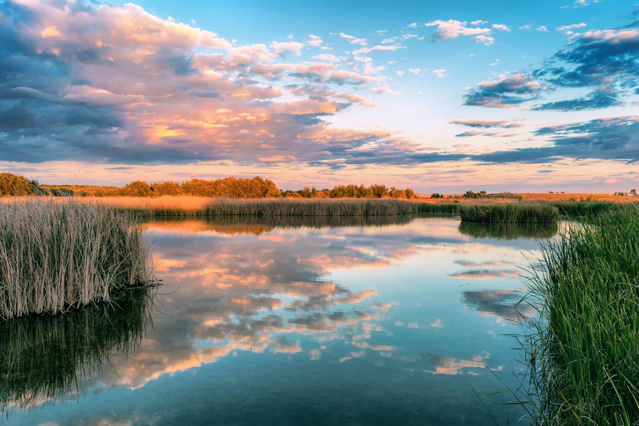 Las Tablas de Daimiel son el último representante de las tablas fluviales